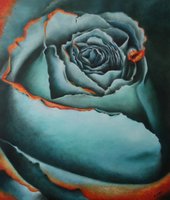 Blue rose (71 x 61 cm) VERKOCHT